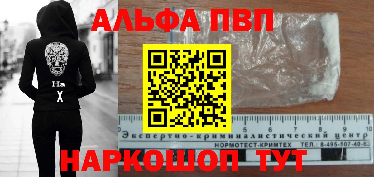 A PVP СК КРИС Фрязино