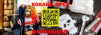 крисы Коммунар