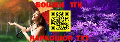 крисы Коммунар