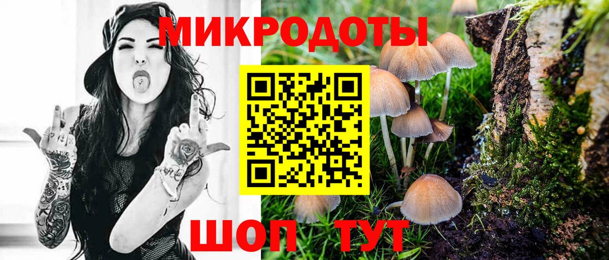 Псилоцибиновые грибы прущие грибы  Псилоцибиновые грибы Psilocybine cubensis  Фрязино  Вход с VPN 