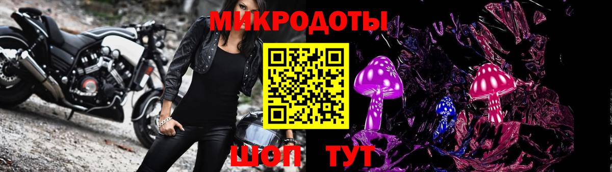Псилоцибиновые грибы GOLDEN TEACHER Фрязино