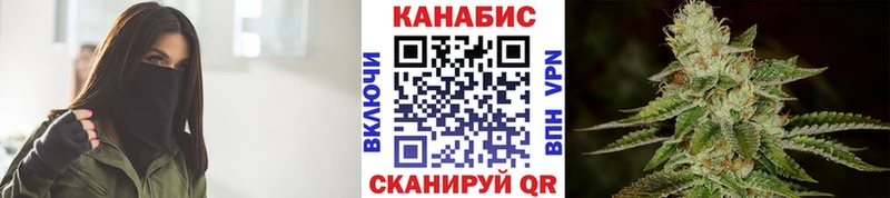 Канабис сатива  darknet как зайти  Фрязино  сколько стоит 